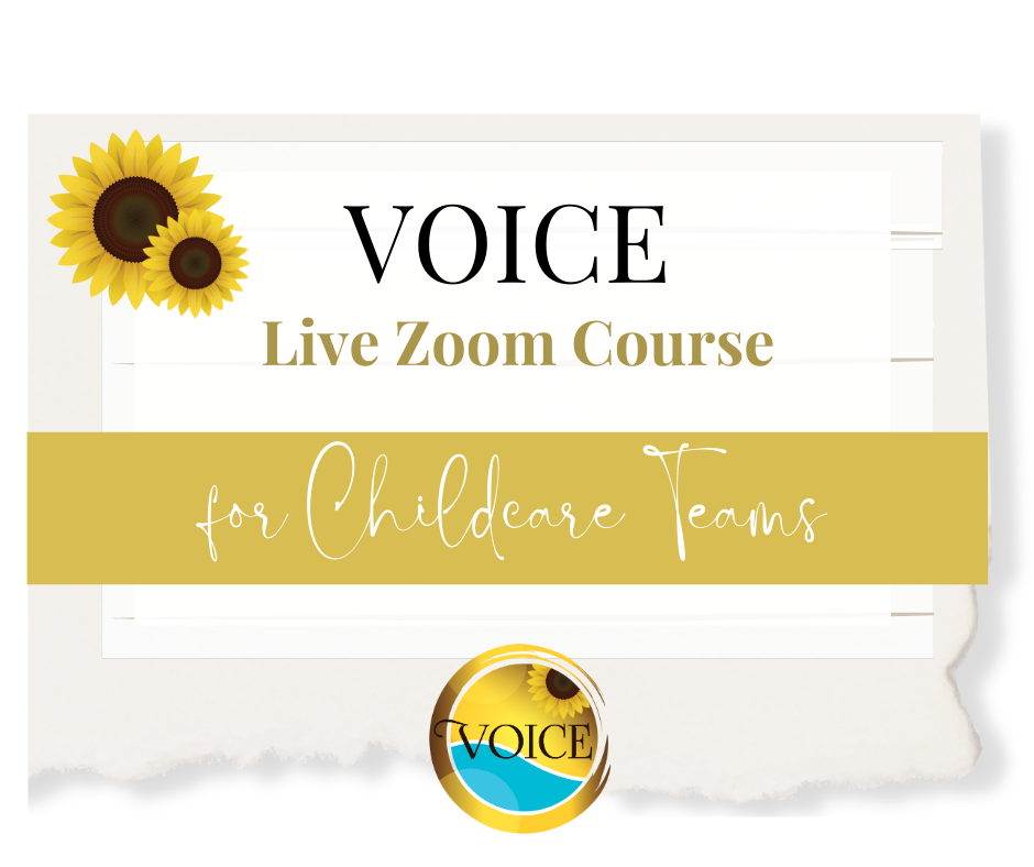 VOICE zoom course for childcare teams